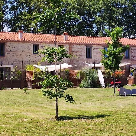 Les Appartements Du Mas Riols Saint-Cyprien (Pyrenees-Orientales) Exterior foto