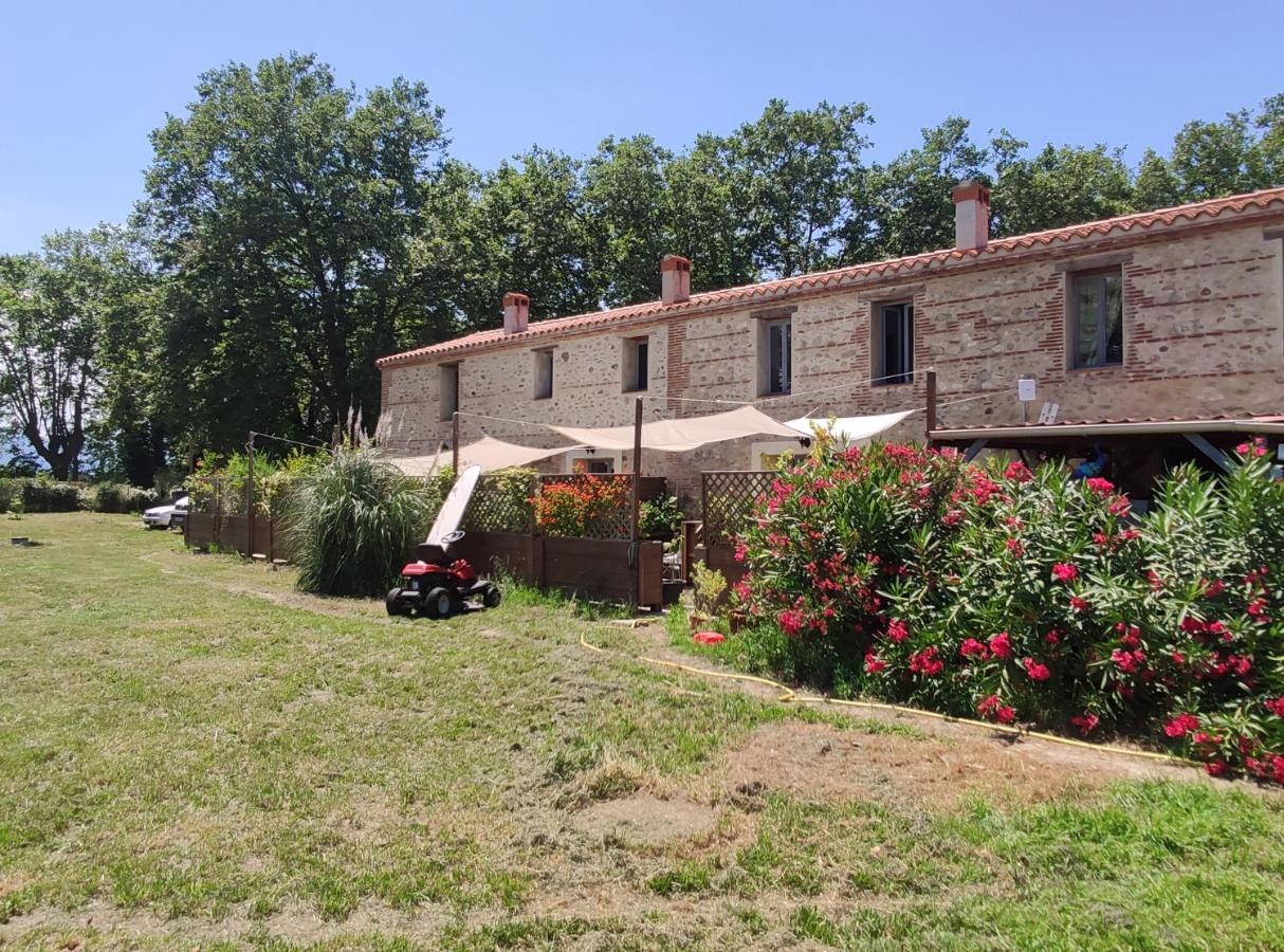 Les Appartements Du Mas Riols Saint-Cyprien (Pyrenees-Orientales) Exterior foto