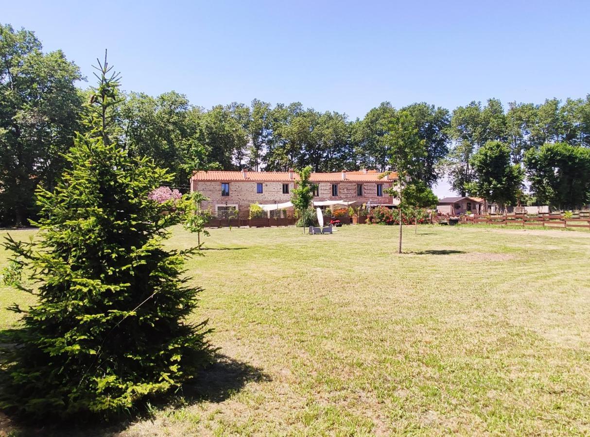 Les Appartements Du Mas Riols Saint-Cyprien (Pyrenees-Orientales) Exterior foto
